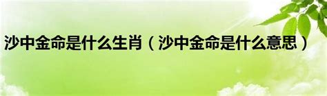 沙中金命|沙中金命是什么意思 – 沙中金命五行缺什么